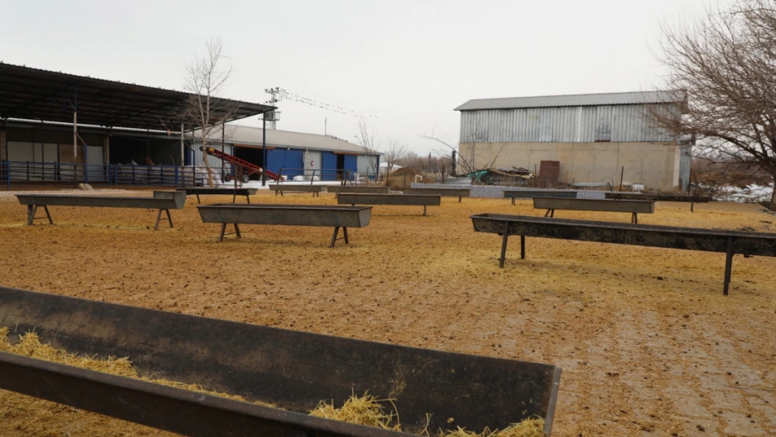 Akçakiraz’da Küçükbaş Besi Ağılı Modernize Edildi