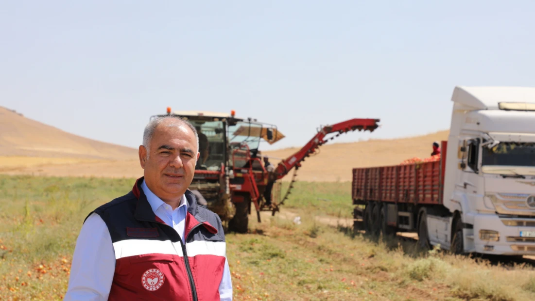 Elazığ’da Domates Hasadında Modern Teknoloji Kullanımı