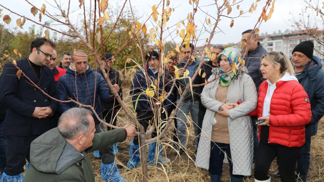 Elazığ’da “Meyve Ağaçlarında Budama ve Aşılama Teknikleri” Eğitimi Tamamlandı