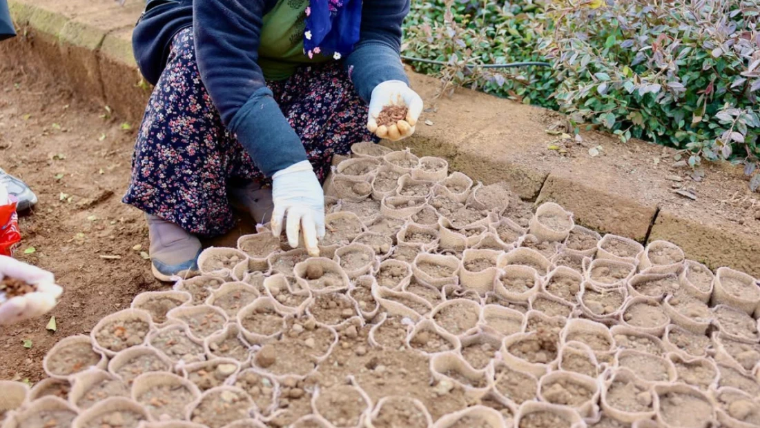 Elazığ Orman Bölge Müdürlüğü’nden Sıfır Atıkla Doğaya Dost Fidan Üretimi
