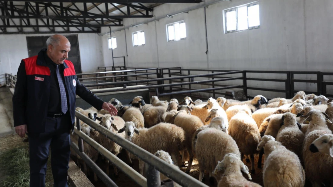 Kovancılar’da Yeni Dönem: Modern Ağıl Üretimi Güçlendirecek