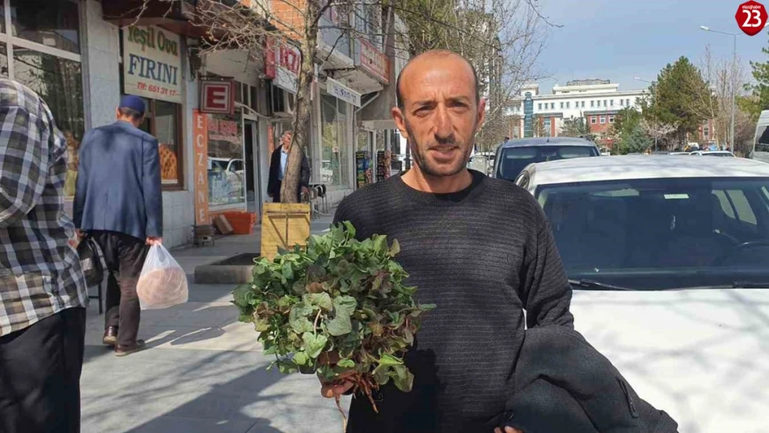 Elazığ Palu'da Kuzukulağı Pazarlarda Yerini Aldı