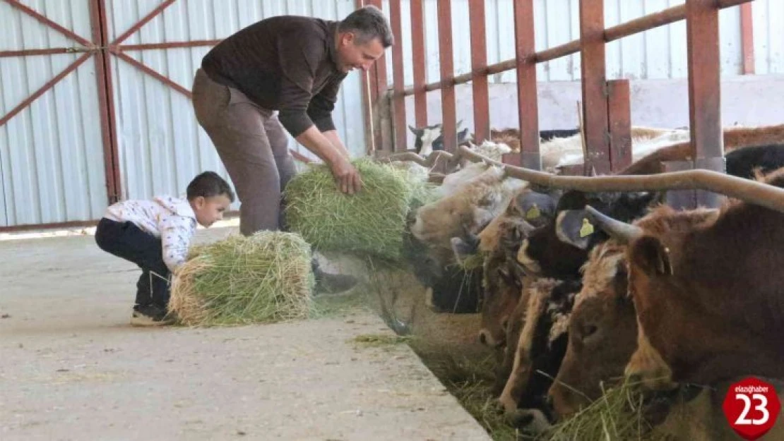 'Hayal bile edemezdik' diyen muhtar, TKDK'dan aldığı destek ile köyünü tavuk ve besi çiftliğine döndürdü