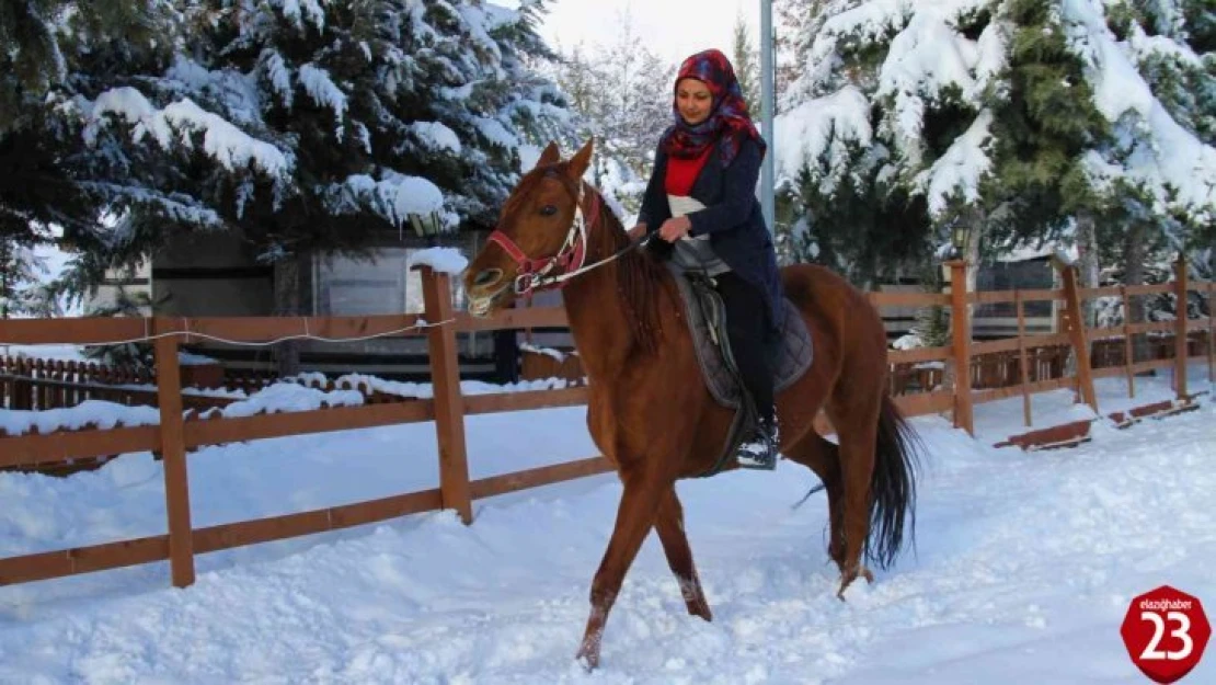 'Yapamazsın' dediler hırs yaptı Elazığ'ın tek kadın seyisi oldu