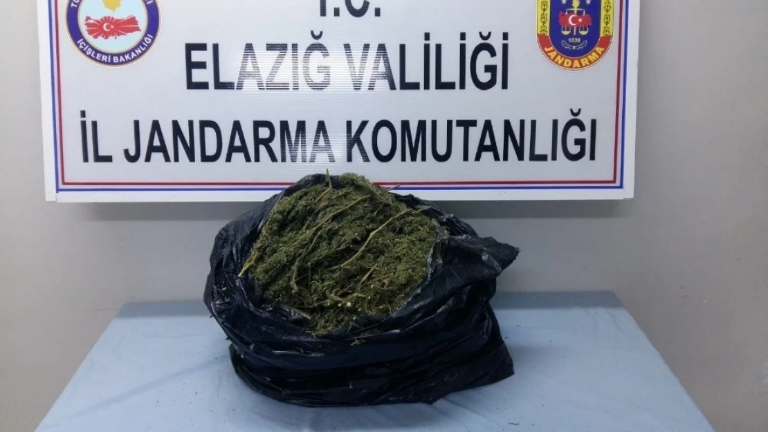 Maden'de 5 kilo Esrarla Yakalanan 2 Şüpheli Tutuklandı