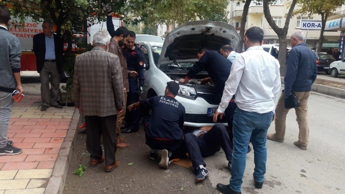 Otomobilin Motorunda Sıkışan Kedi Bakın Nasıl Kurtarıldı