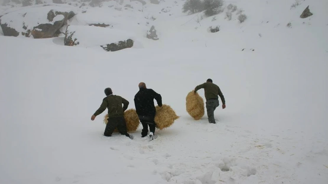 Elazığ'da Yaban Hayvanları İçin 4 Ton Yem Bırakıldı