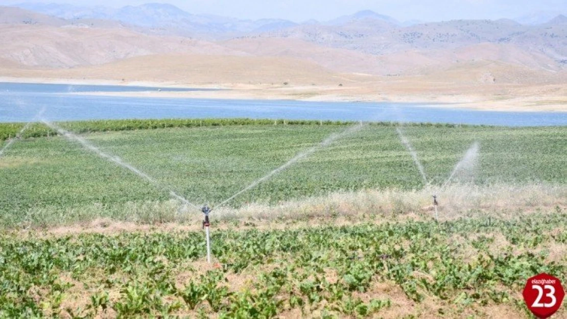 4 ilde 532 bin 512 dekar tarım arazisi sulandı