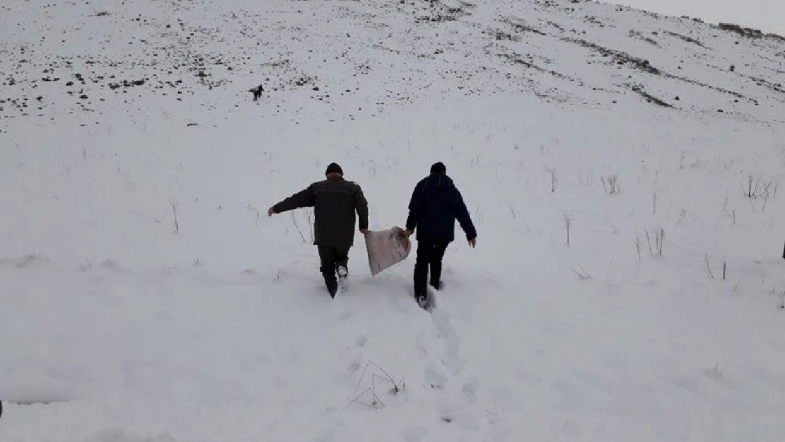 Elazığ'da Doğadaki Yaban Keçileri Unutulmadı