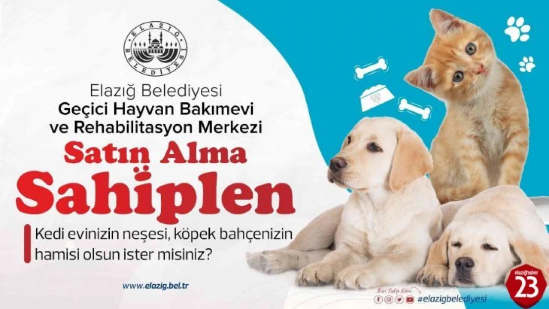 Başkan Şerifoğulları, 'Şehrimizde yaşayan her canlının huzurunu tesis etmek bizlerin en asli görevidir'