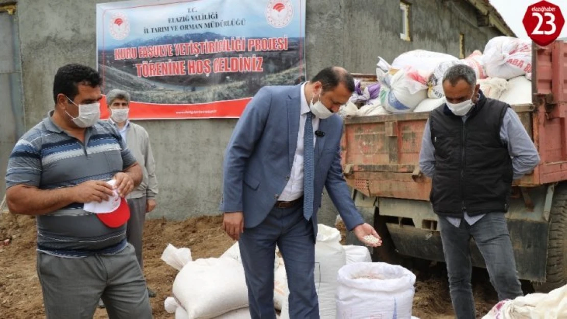 Bermaz Ovası'nda 'Gezin Fasulyesi'  için tohum desteği