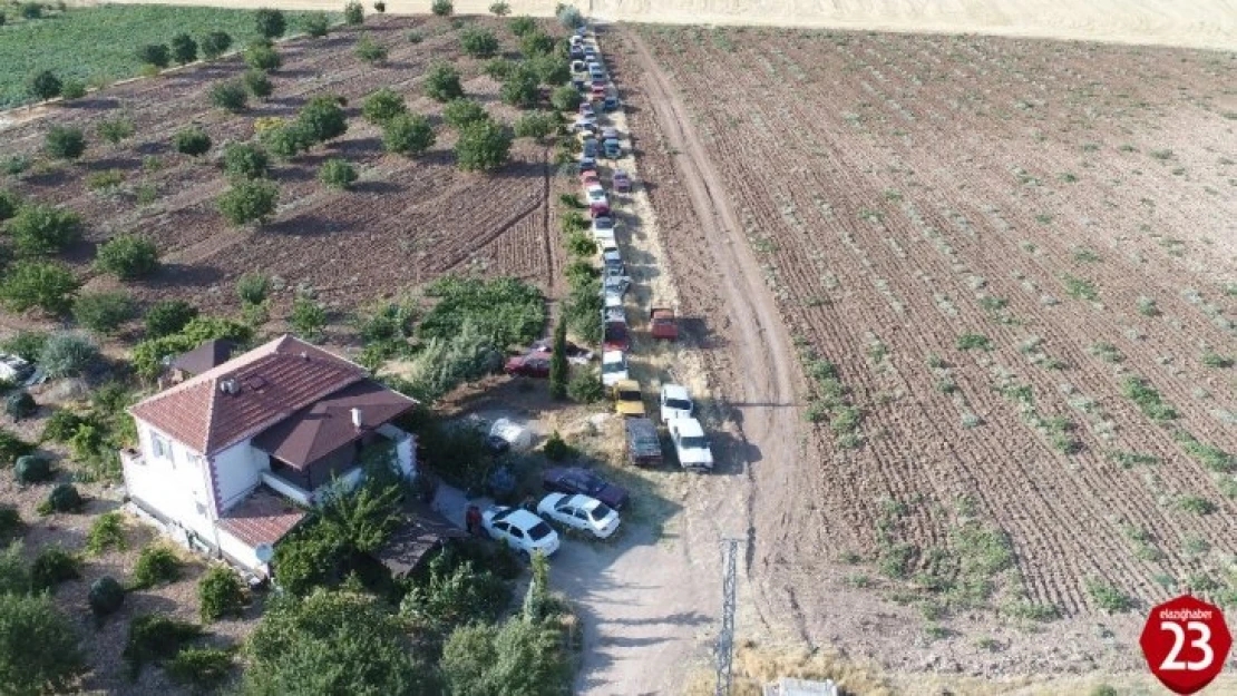 Elazığ'da Bir Evde 50 Araç, Gören Şaşırıyor