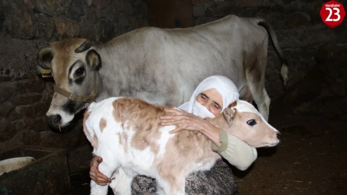 Cemile Teyzenin Mutluluk Fotoğrafı