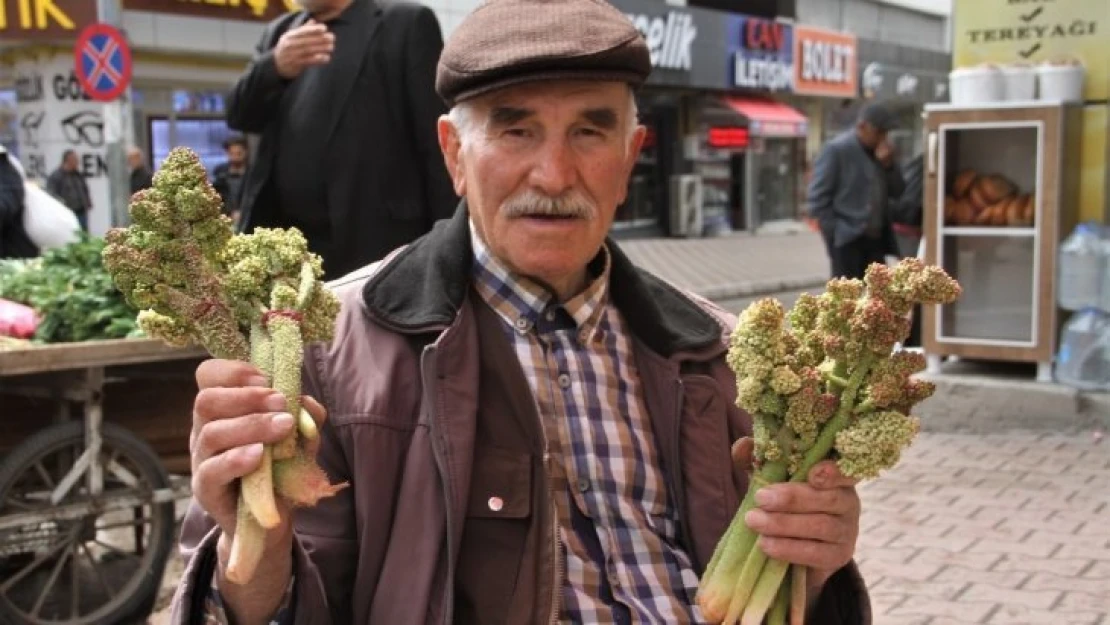 Doğunun Muzu Işkın'da Bereket