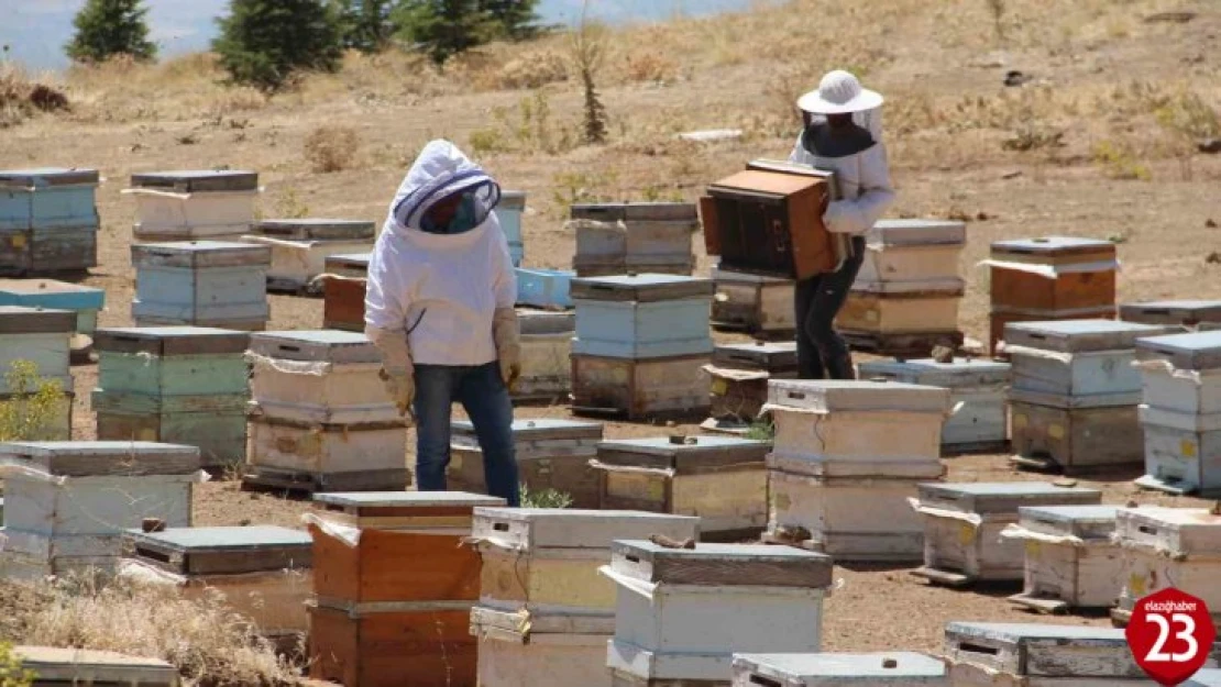 Elazığlı Arıcılar, Yağışların İleride Arıcılar Üzerinde Olumlu Yansıması Olacaktır