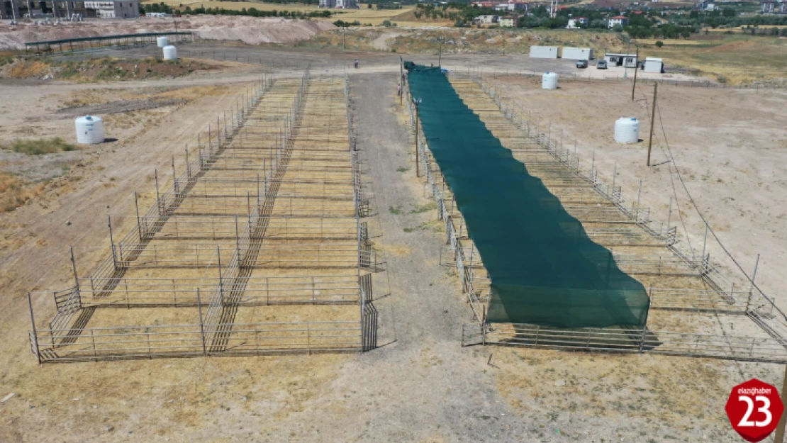 Elazığ Belediyesi, Kurban Bayramı Hazırlıklarını Sürdürüyor