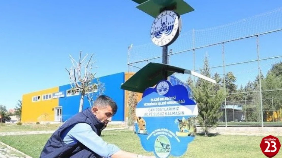 Elazığ Belediyesi sokak hayvanlarını unutmadı