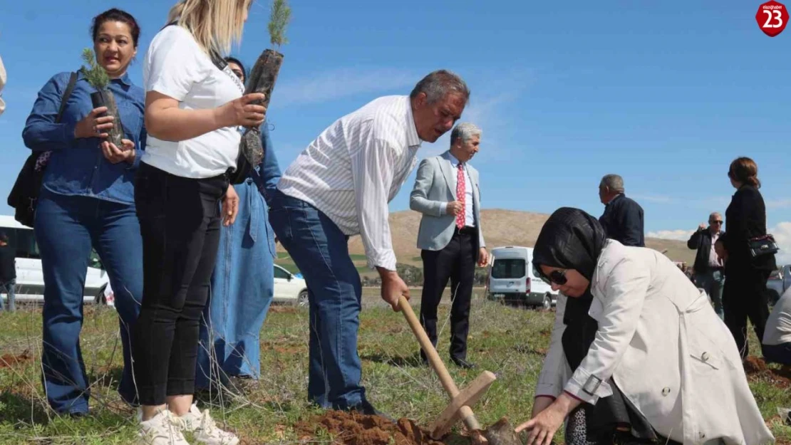 Elazığ'da 'Aile Yılı hatıra ormanı' oluşturuldu