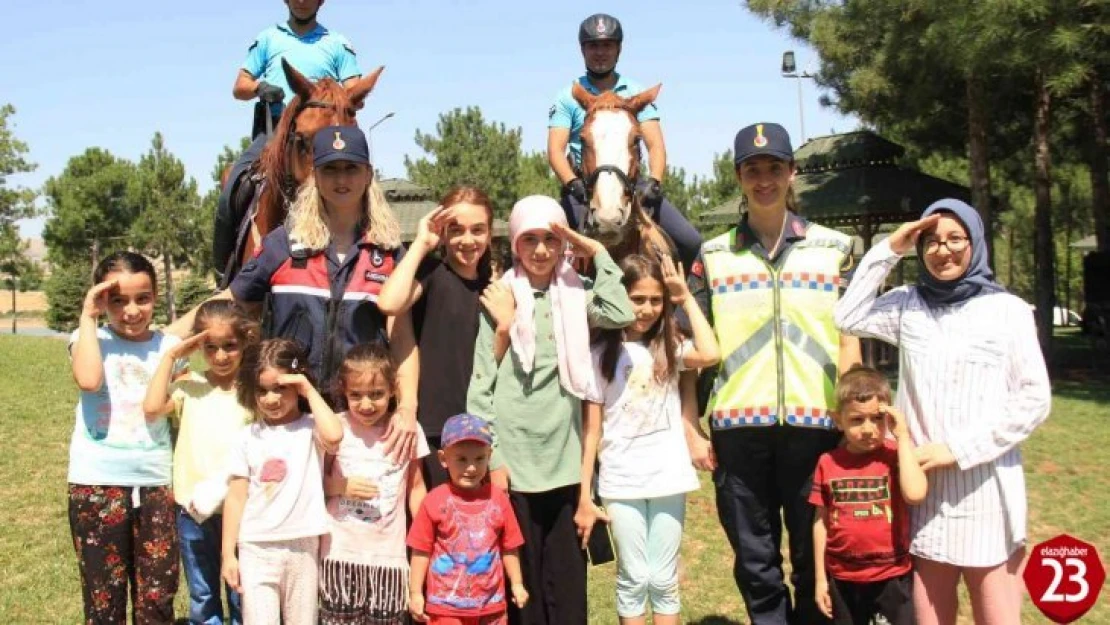 Elazığ'da 'Atlı Jandarma Timi' göreve başladı