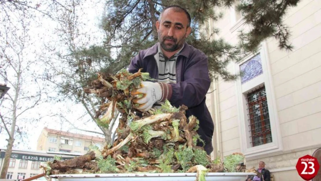 Elazığ'da Çiriş ve Kenger Otu, Tezgahlardaki Yerini Aldı