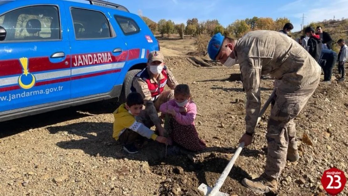 Elazığ'da  jandarma ekipleri bir günde 8 bin 300 fidan dikti