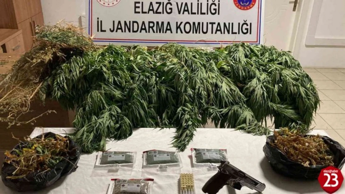 Elazığ'da 1 kilo esrar ve 17 kök kenevir ele geçirildi