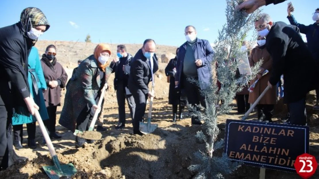 Elazığ'da 11 şehit anısına fidan dikildi