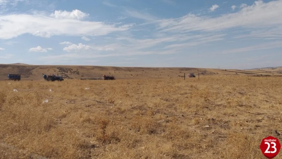 Elazığ'da 136 bin dekar alanda mera ıslah çalışmaları tamamlandı