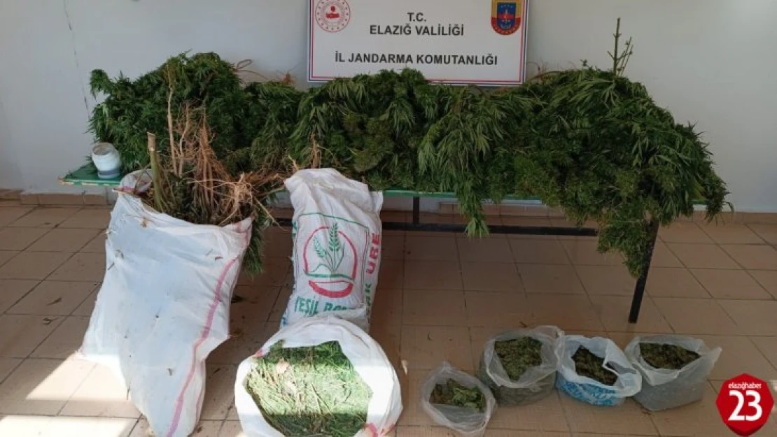 Elazığ'da 20 kilo esrar ele geçirildi: 1 gözaltı