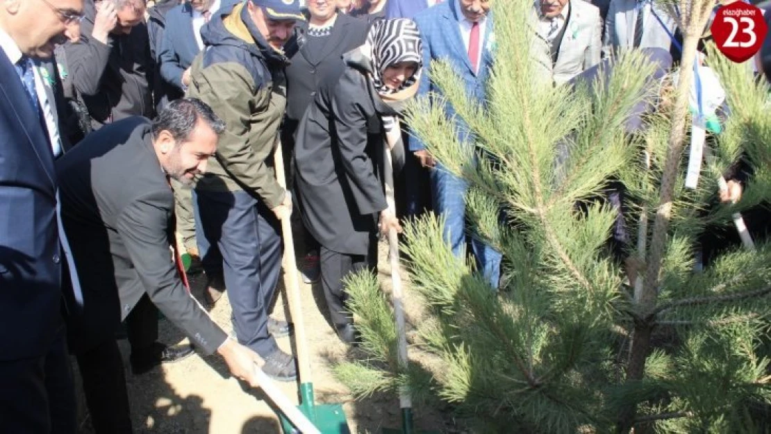 Elazığ'da 250 Bin Fidan Toprakla Buluştu