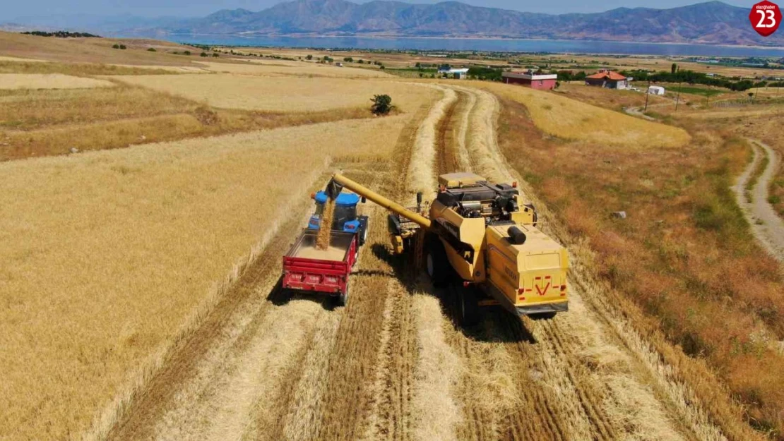 Elazığ'da Hububat Hasadında Rekor Bekleniyor