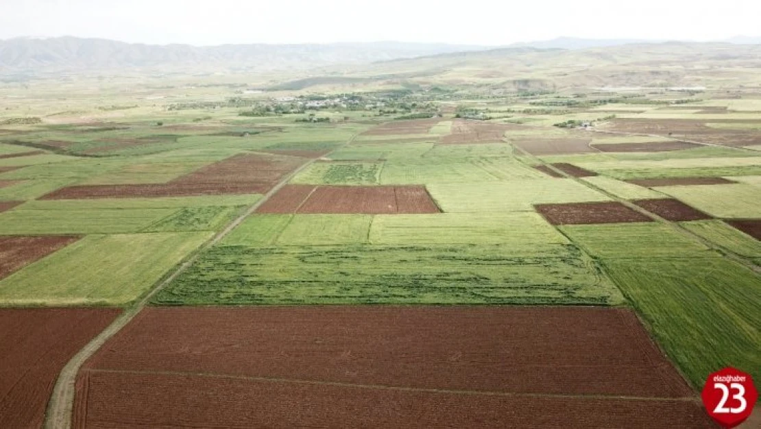 Elazığ'da arazi toplulaştırma çalışmaları sürüyor