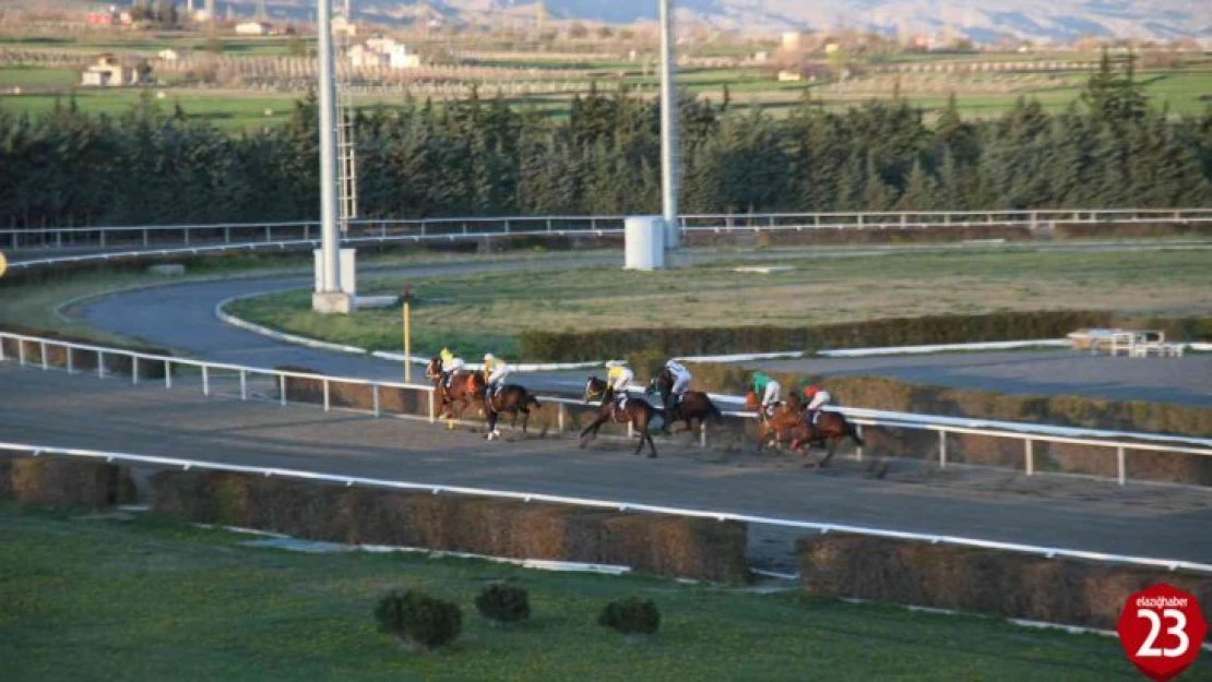 Elazığ Hipodromu'nda Heyecan Dolu Yarışlar İçin Start Verildi