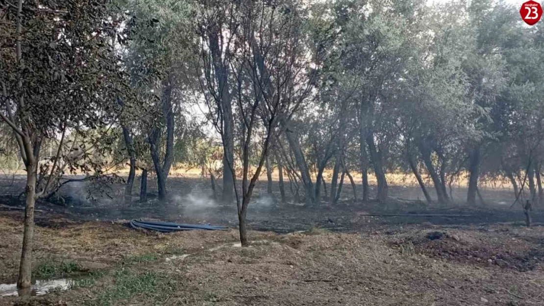 Sarıçubuk Köyünde bahçede korkutan yangın