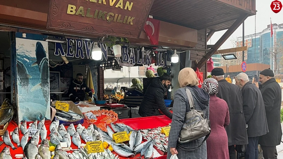 Elazığ'da Balıkçılar Kar Beklentisine Rağmen Satışlardan Memnun Değil