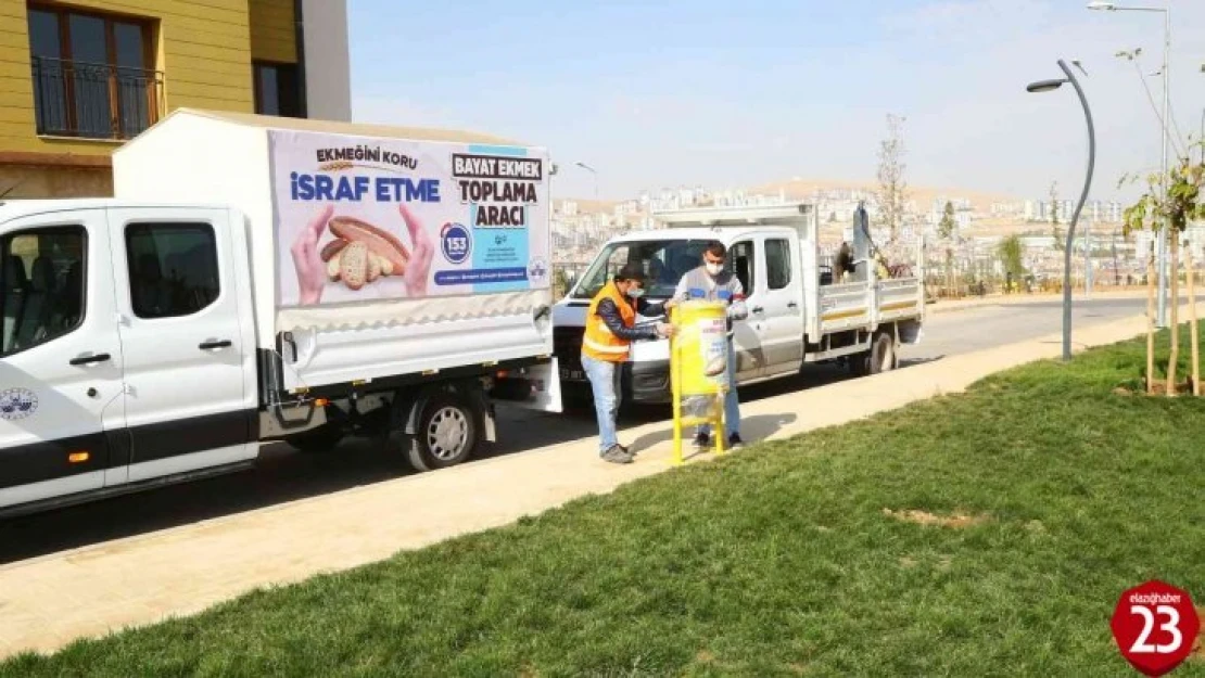 Elazığ'da bayat ekmek ve artık yemekler mamaya dönüşüyor