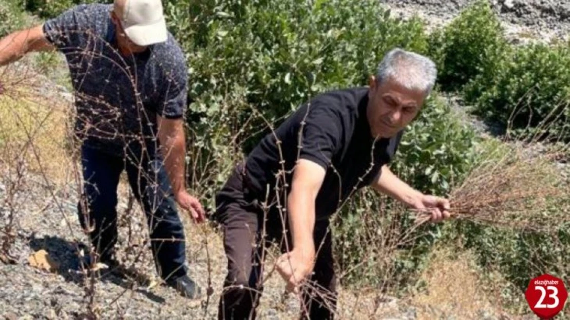 Elazığ'da biyoçeşitlilik izleme çalışmaları sürüyor