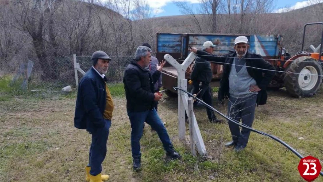 Elazığ'da çiftçilere bağ budama eğitimi