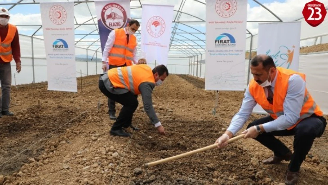 Elazığ'da çiftçiye 2 milyon fide desteği için üretim