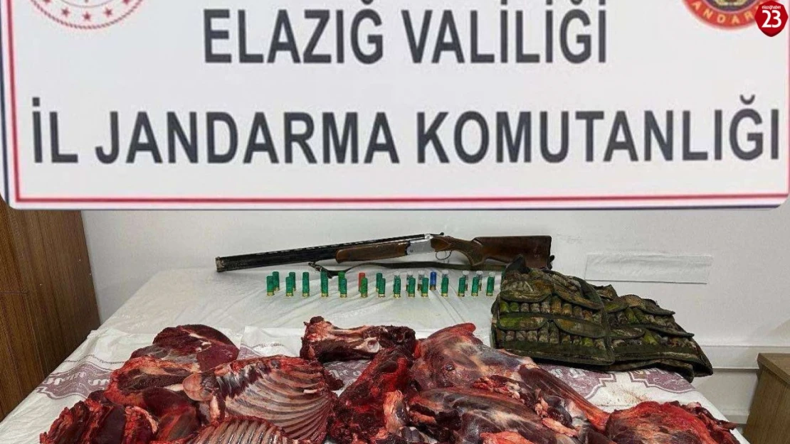 Elazığ'da dağ keçisini avlayan şahsa 650 bin lira ceza kesildi