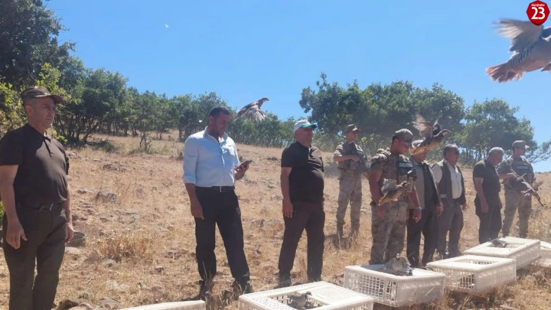 Elazığ'da Doğaya Keklik Salındı: Kene ve Zararlı Böceklerle Biyolojik Mücadele Başladı
