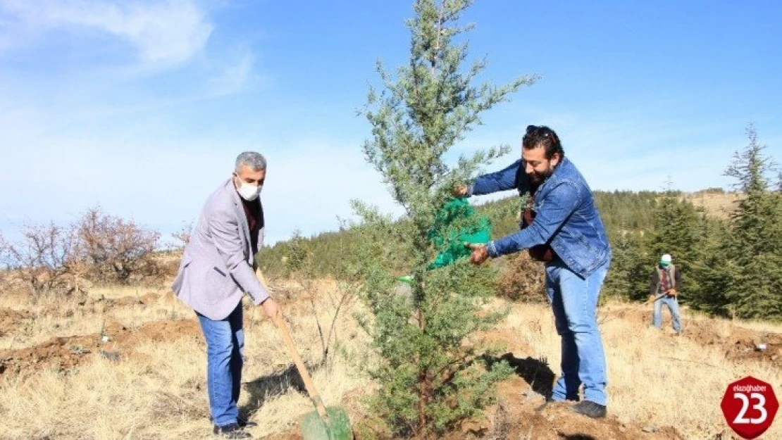 Elazığ'da eğitimciler fidan dikti