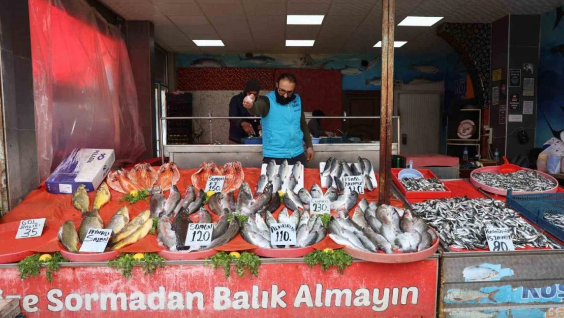 Elazığ'da en çok tercih edilen balık çeşitleri hamsi, istavrit ve alabalık oldu