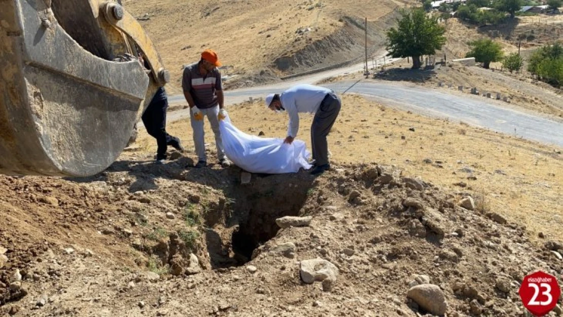 Palu'da Etrafa Saçılan Kemikler Toplanıp Kefenlendikten Sonra Yeniden Defnedildi