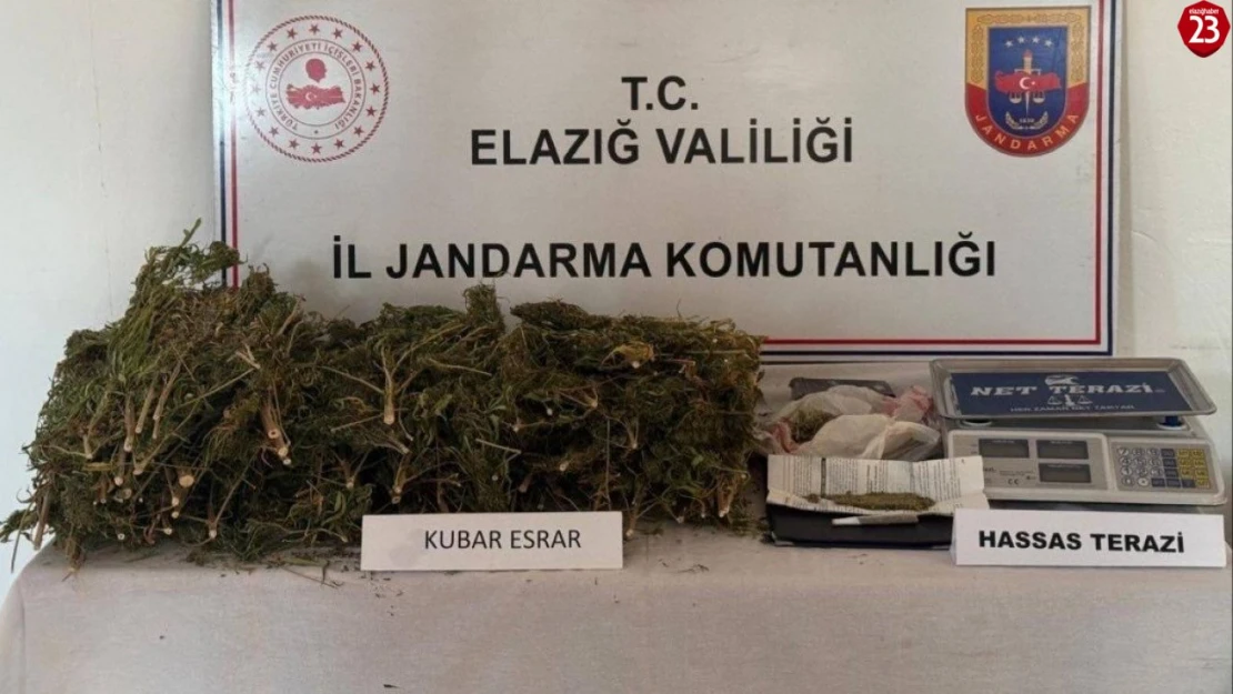 Elazığ'da evde 3 kilo 200 gram esrar ele geçirildi: 1 gözaltı