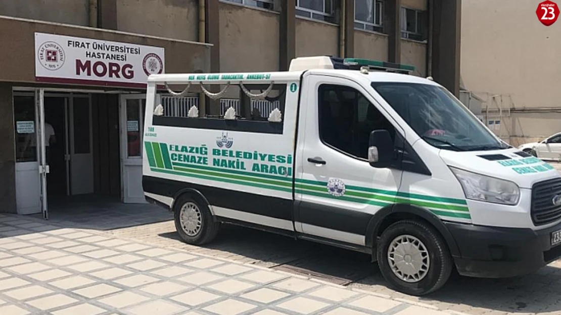 Elazığ'da Feci Kaza: Takla Atan Otomobilde 2 Kişi Hayatını Kaybetti, 2 Yaralı
