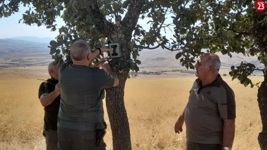 Elazığ'da fotokapanların bakımı yapıldı