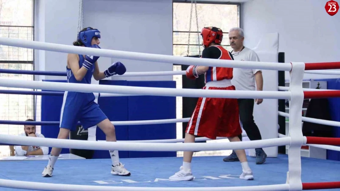 Elazığ'da Gençler Boks Müsabakaları Tamamlandı, 70 Sporcu Kıyasıya Mücadele Etti