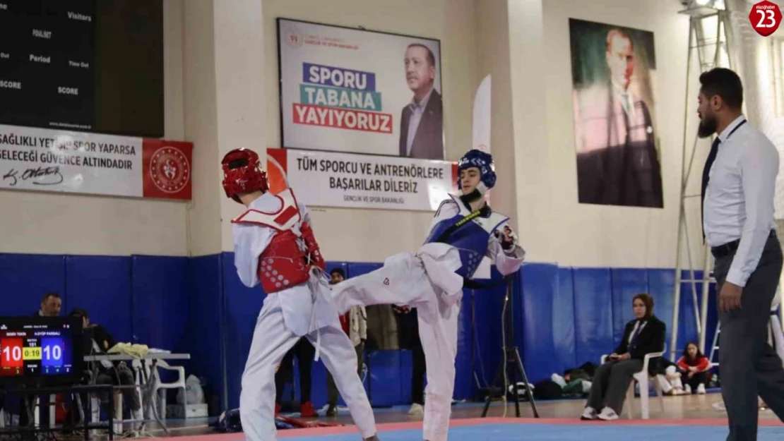 Elazığ'da gençler taekwondo müsabakaları yapıldı