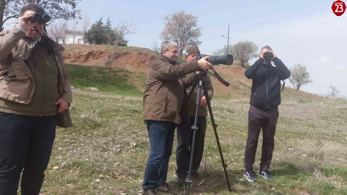 Elazığ'da Güncel Kuş Göç Haritası İçin Arazi Çalışmaları Yapıldı